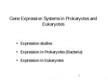 Gene Expression Systems in Prokaryotes and Eukaryotes