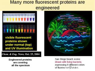 Many more fluorescent proteins are engineered