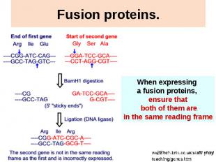 Fusion proteins.