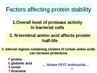 Factors affecting protein stability