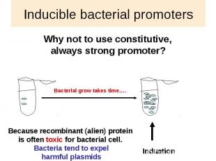 Inducible bacterial promoters