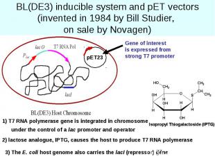 BL(DE3) inducible system and pET vectors (invented in 1984 by Bill Studier, on s