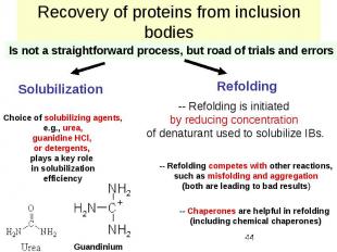 Recovery of proteins from inclusion bodies