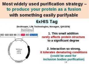 Most widely used purification strategy – to produce your protein as a fusion wit