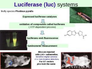 Luciferase (luc) systems