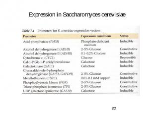 Expression in Saccharomyces cerevisiae