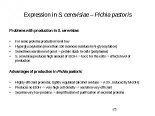 Expression in S. cerevisiae – Pichia pastoris Problems with production in S. cer