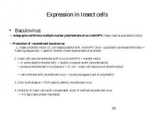 Expression in Insect cells Baculovirus: -&gt; Autographa californica multiple nu