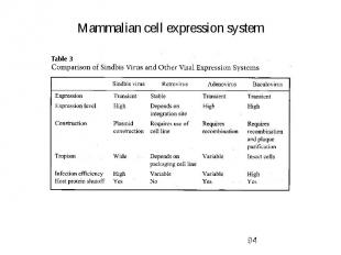 Mammalian cell expression system