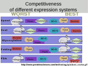 Competitiveness of different expression systems