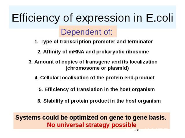 Efficiency of expression in E.coli