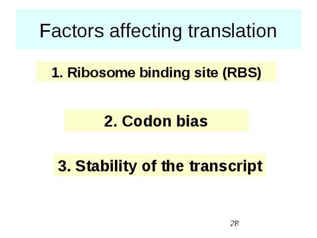 Factors affecting translation