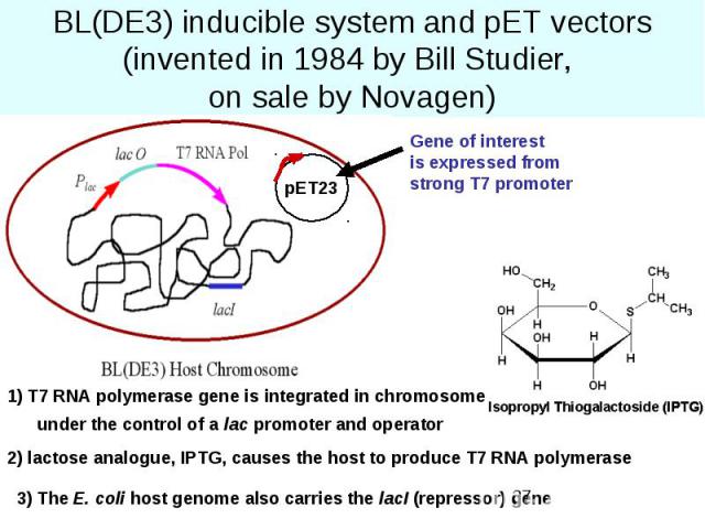 BL(DE3) inducible system and pET vectors (invented in 1984 by Bill Studier, on sale by Novagen)