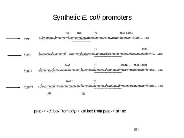 Synthetic E. coli promoters