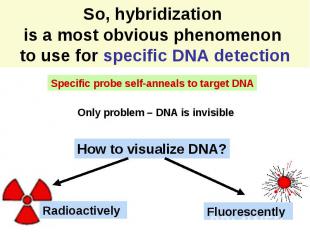 So, hybridization is a most obvious phenomenon to use for specific DNA detection