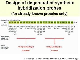 Design of degenerated synthetic hybridization probes (for already known proteins