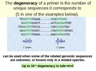 The degeneracy of a primer is the number of unique sequences it corresponds to (