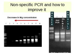 Non-specific PCR and how to improve it