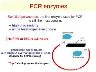 PCR enzymes