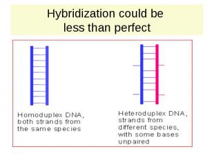 Hybridization could be less than perfect