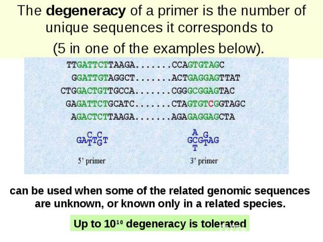 The degeneracy of a primer is the number of unique sequences it corresponds to (5 in one of the examples below).