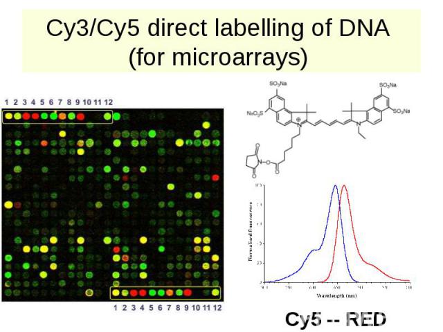 Cy3/Cy5 direct labelling of DNA (for microarrays)