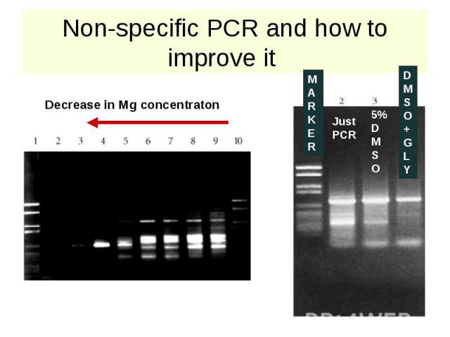 Non-specific PCR and how to improve it
