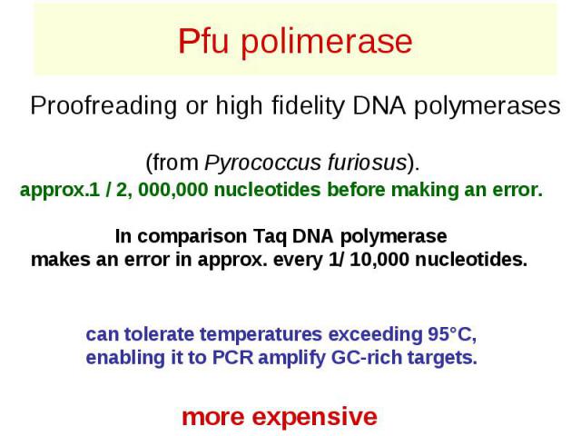 Pfu polimerase