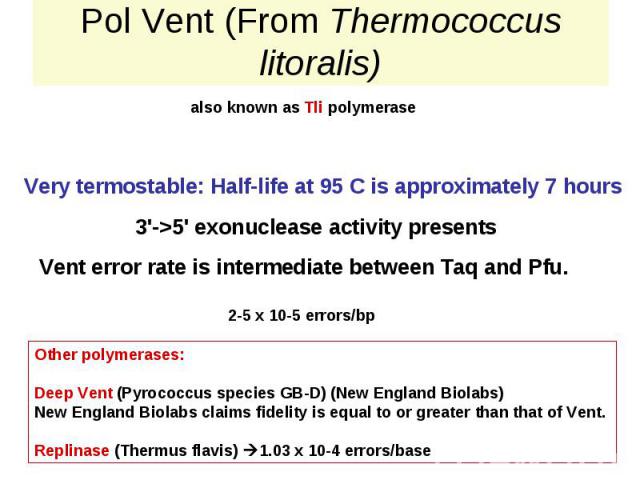 Pol Vent (From Thermococcus litoralis)