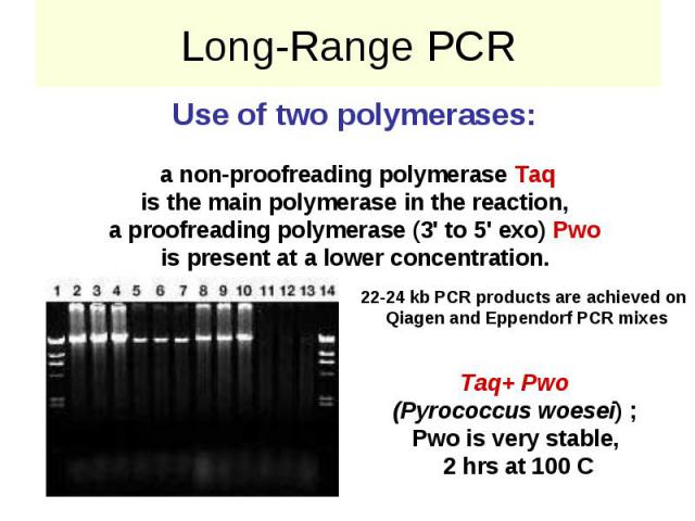 Long-Range PCR