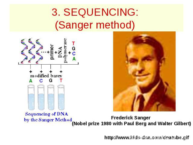 3. SEQUENCING: (Sanger method)