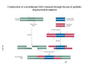 Construction of a recombinant DNA molecule through the use of synthetic oligonuc