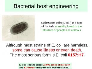 Bacterial host engineering