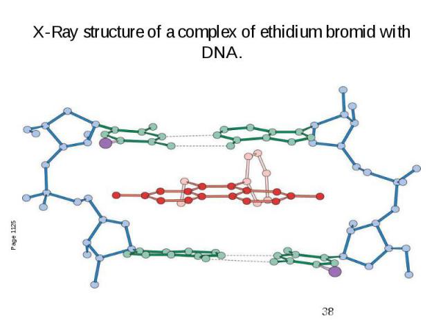 X-Ray structure of a complex of ethidium bromid with DNA.