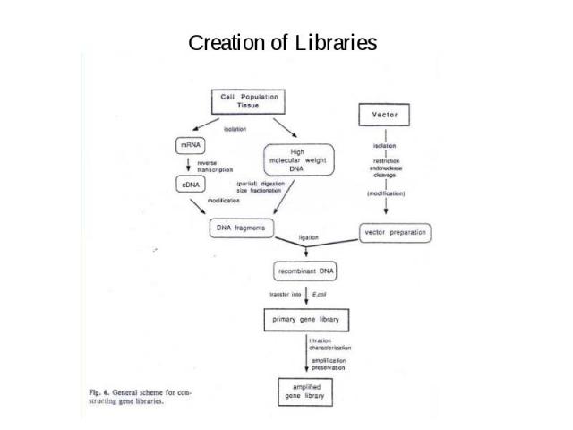Creation of Libraries