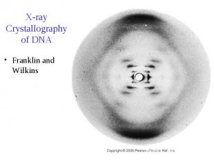 X-ray Crystallography of DNA Franklin and Wilkins