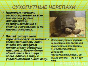 СУХОПУТНЫЕ ЧЕРЕПАХИ Наземные черепахи распространены на всех материках (кроме Ан