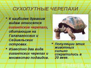 СУХОПУТНЫЕ ЧЕРЕПАХИ К наиболее древним видам относятся гигантские черепахи, обит