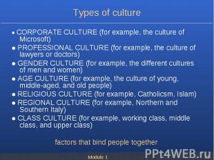 ● CORPORATE CULTURE (for example, the culture of Microsoft) ● CORPORATE CULTURE