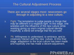 There are several stages most newcomers go through in adjusting to a new culture