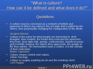 Quotations Quotations A culture may be conceived as a network of beliefs and pur