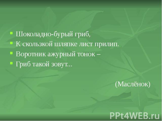 Шоколадно-бурый гриб, Шоколадно-бурый гриб, К скользкой шляпке лист прилип. Воротник ажурный тонок – Гриб такой зовут... (Маслёнок)