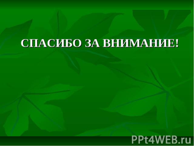 СПАСИБО ЗА ВНИМАНИЕ! СПАСИБО ЗА ВНИМАНИЕ!