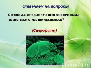 – Организмы, которые питаются органическими веществами отмерших организмов? – Ор