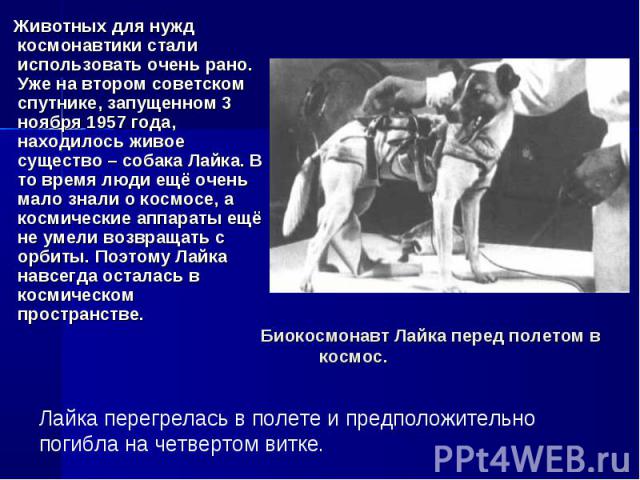 Животных для нужд космонавтики стали использовать очень рано. Уже на втором советском спутнике, запущенном 3 ноября 1957 года, находилось живое существо – собака Лайка. В то время люди ещё очень мало знали о космосе, а космические аппараты ещё не ум…