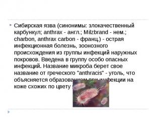 Сибирская язва (синонимы: злокачественный карбункул; anthrax - англ.; Milzbrand