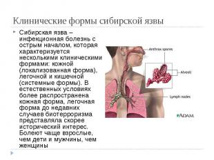 Сибирская язва – инфекционная болезнь с острым началом, которая характеризуется