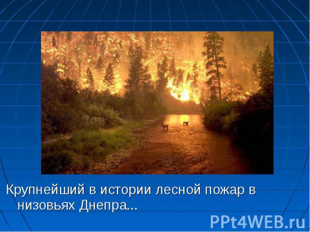 Крупнейший в истории лесной пожар в низовьях Днепра... Крупнейший в истории лесной пожар в низовьях Днепра...