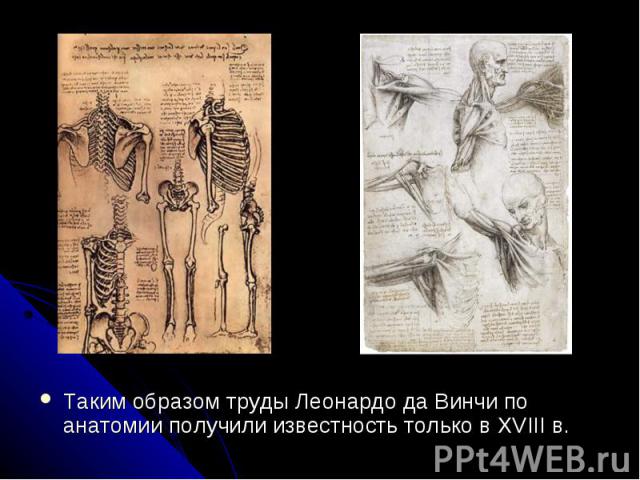 Таким образом труды Леонардо да Винчи по анатомии получили известность только в XVIII в. Таким образом труды Леонардо да Винчи по анатомии получили известность только в XVIII в.
