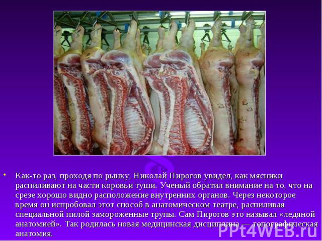 Как-то раз, проходя по рынку, Николай Пирогов увидел, как мясники распиливают на части коровьи туши. Ученый обратил внимание на то, что на срезе хорошо видно расположение внутренних органов. Через некоторое время он испробовал этот способ в анатомич…